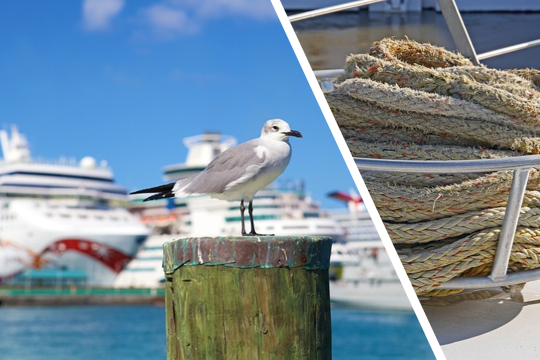 noch mehr Reiseauswahl